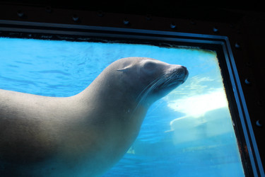 Similar image 21760999