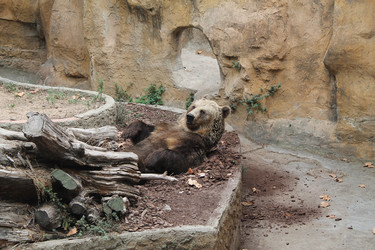 Similar image 21761000