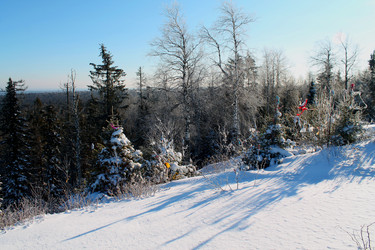 Similar image 21721328