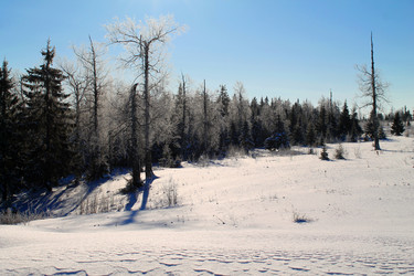 Similar image 21721386