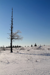 Similar image 21721389