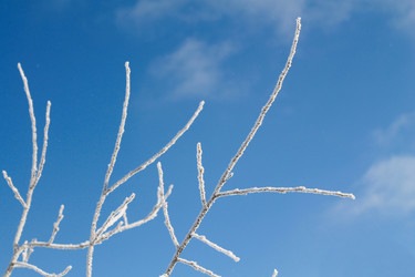 Similar image 21722536