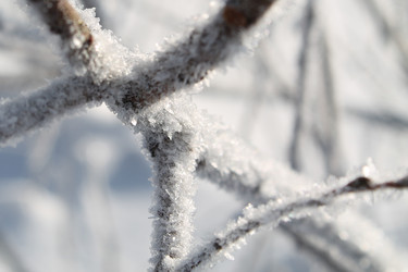 Similar image 21722538