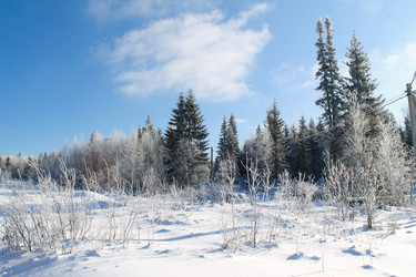 Similar image 21722539