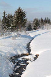 Similar image 21722540