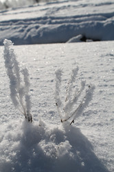 Similar image 21722541