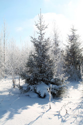 Similar image 21722542