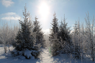 Similar image 21751109