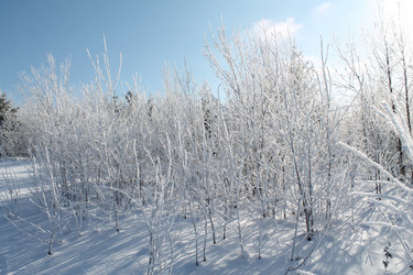 Similar image 21751110