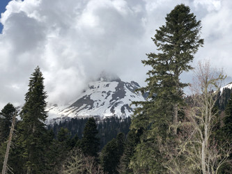 Similar image 21751115