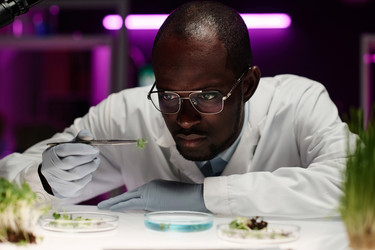 Similar image 21730498