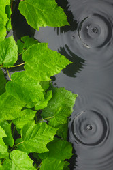 Similar image 21760420