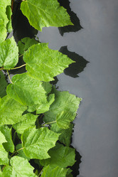 Similar image 21760437