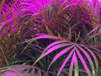 Similar image 21752786