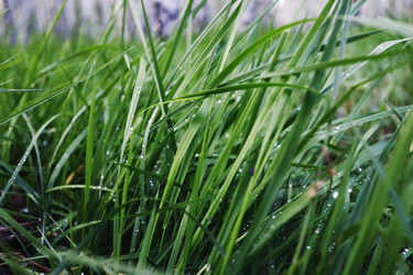 Similar image 21752787