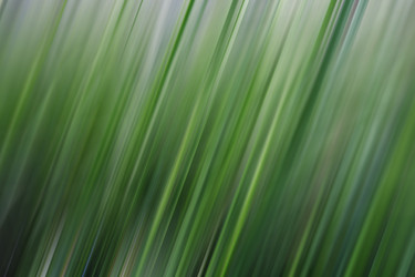 Similar image 21752792