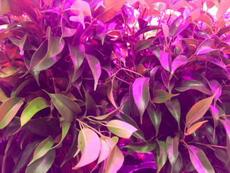 Similar image 21752795