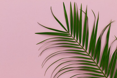 Similar image 21752798