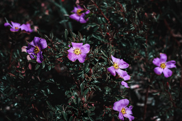 Similar image 21752800