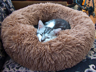 Similar image 21744345