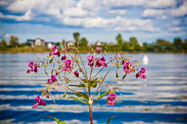 Similar image 21744373