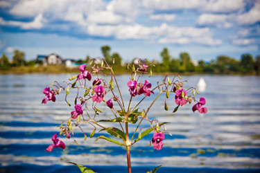 Similar image 21744374