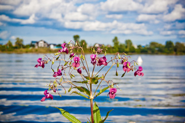 Similar image 21744391