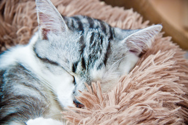 Similar image 21744323