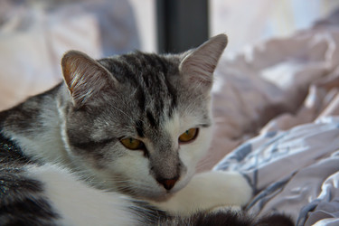 Similar image 21744354