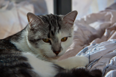 Similar image 21744355