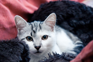 Similar image 21744356