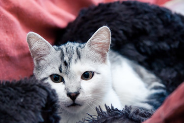 Similar image 21744357