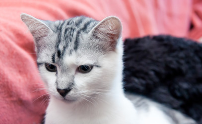 Similar image 21744359