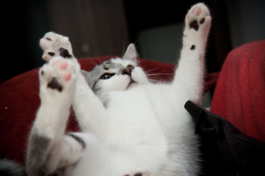 Similar image 21744375