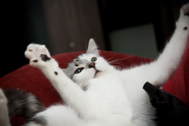 Similar image 21744376