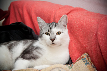 Similar image 21744395