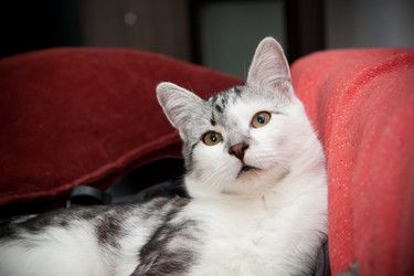 Similar image 21744396