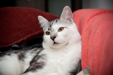 Similar image 21744397