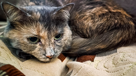 Similar image 21744324