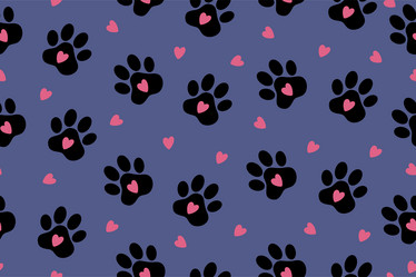 Similar image 21761200