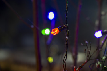 Similar image 21757849