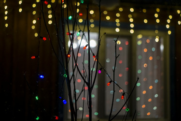 Similar image 21757853