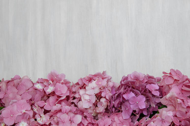 Similar image 21760568