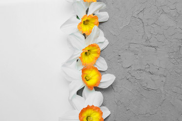 Similar image 21760570