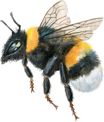 Similar image 21745565