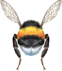 Similar image 21745570