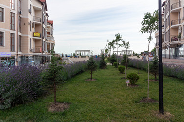 Similar image 21720639