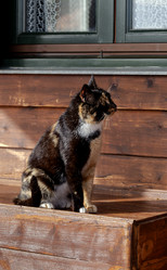 Similar image 21747096