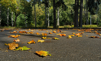 Similar image 21720644