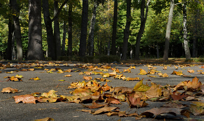 Similar image 21720646